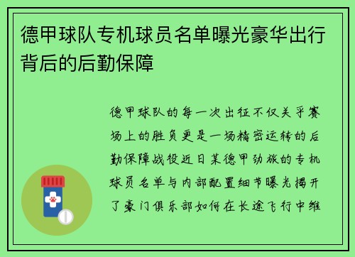 德甲球队专机球员名单曝光豪华出行背后的后勤保障